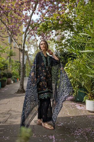 Design 3B SN Basics 2025 UNSTITCHED