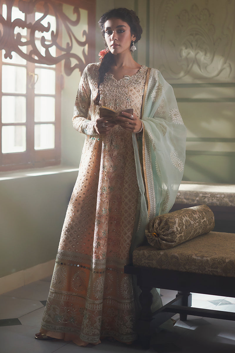 AMIRA