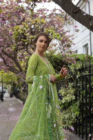 Design 3A SN Basics 2025 UNSTITCHED