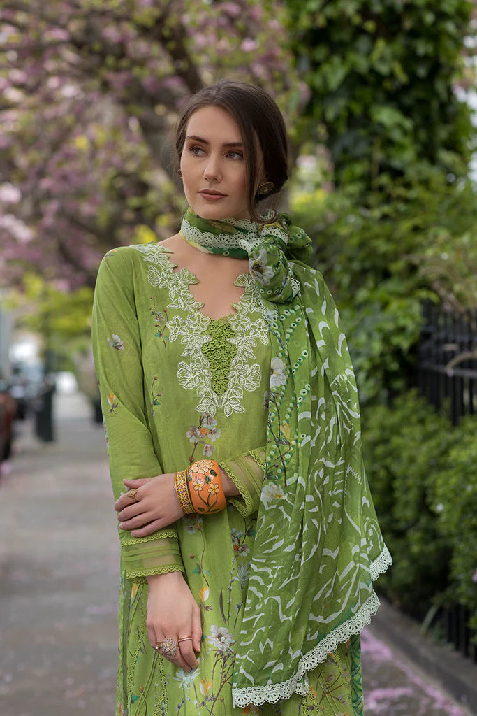 Design 3A SN Basics 2025 UNSTITCHED