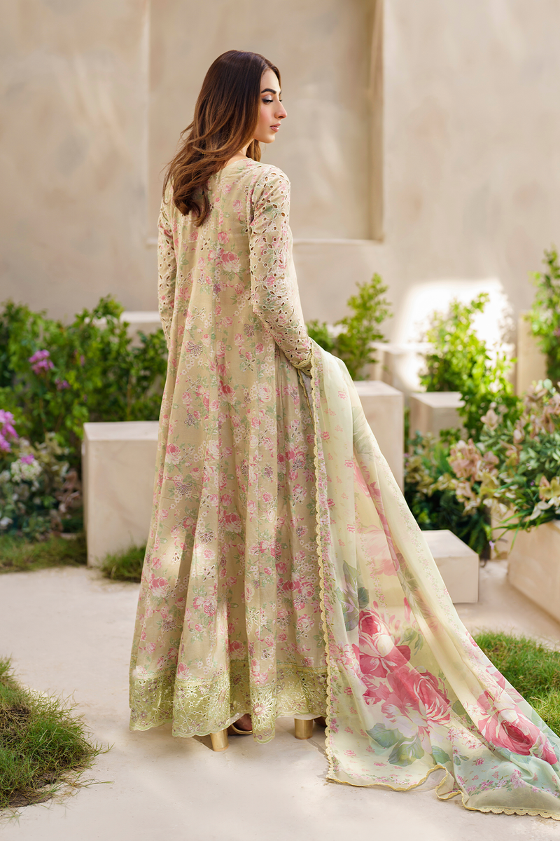 SFL-05 EMBROIDERED LAWN