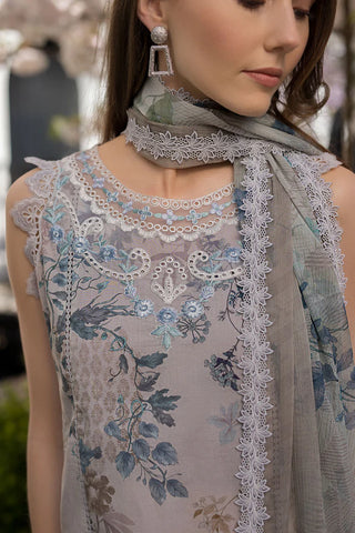 Design 6B SN Basics 2025 UNSTITCHED