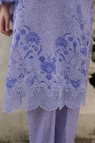 Design 7A SN Basics 2025 UNSTITCHED