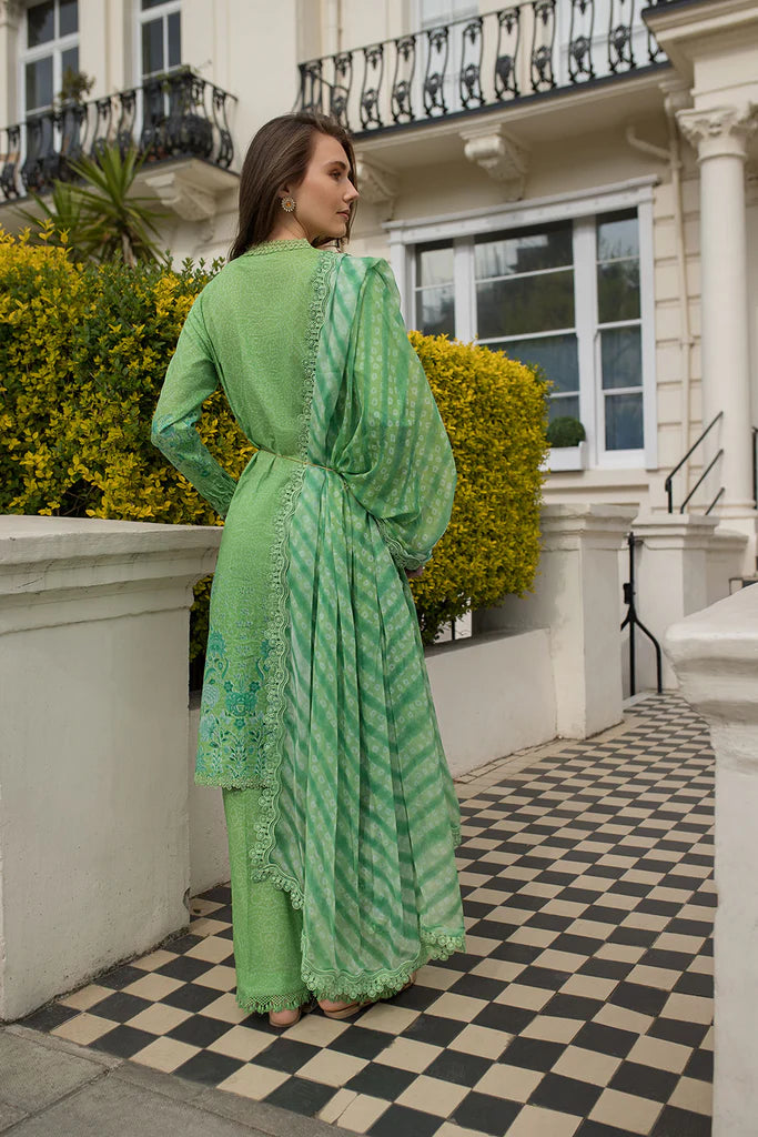 Design 7B SN Basics 2025 UNSTITCHED
