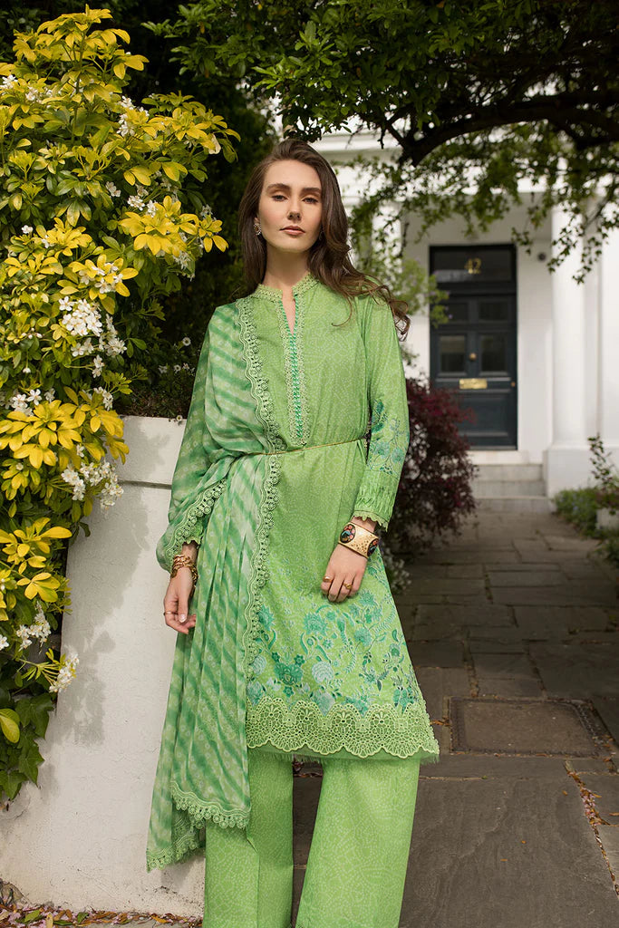 Design 7B SN Basics 2025 UNSTITCHED