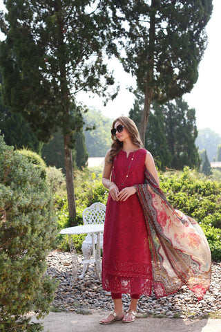 Noor Luxe Printkari - D11