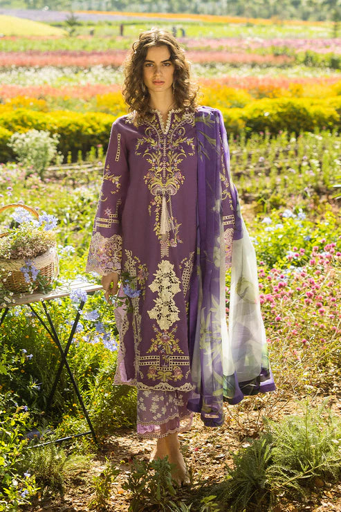 06 B Celestial Bloom