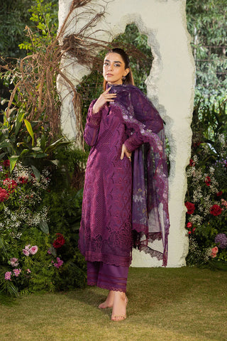 Design 02B Luxury Lawn 2025 Unstitched