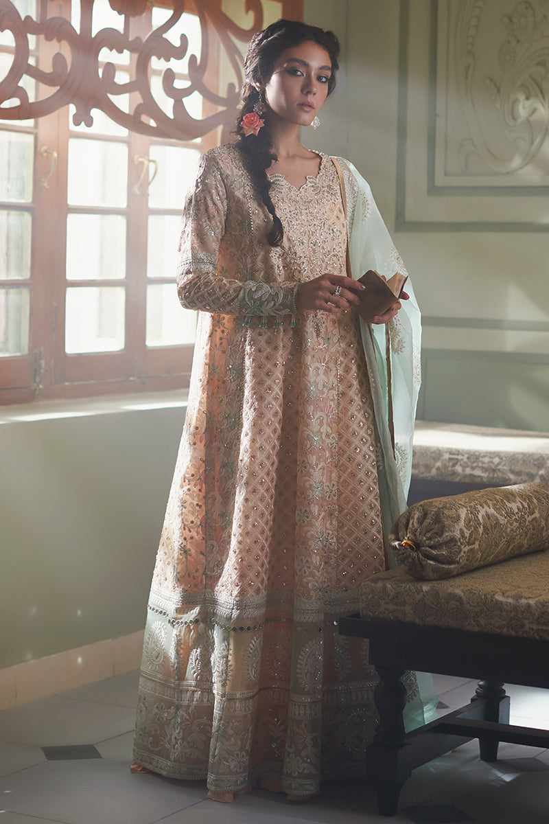 AMIRA